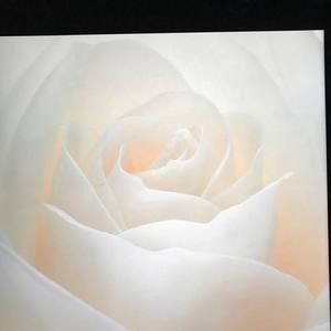 Meet your Posher, Judy